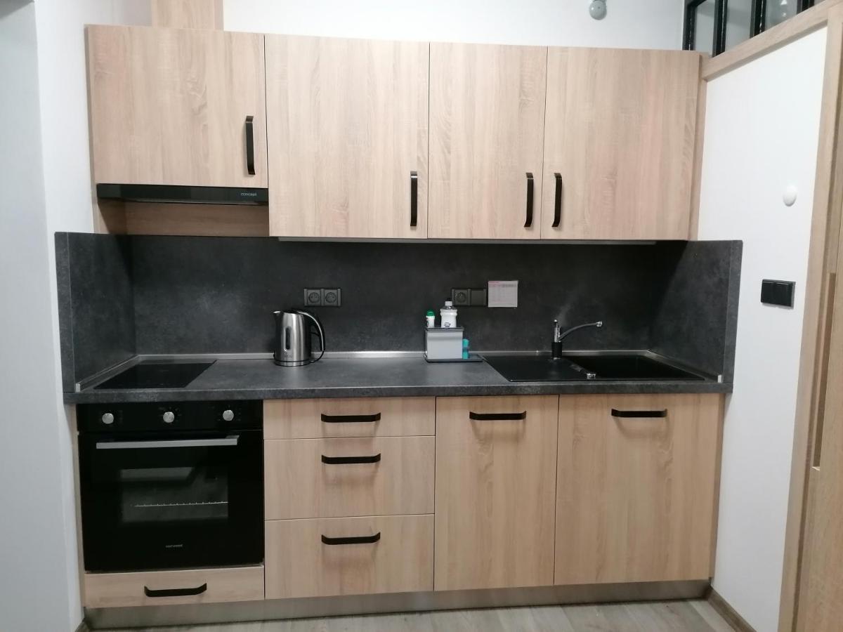 Apartmán 88 Červená Voda Kültér fotó